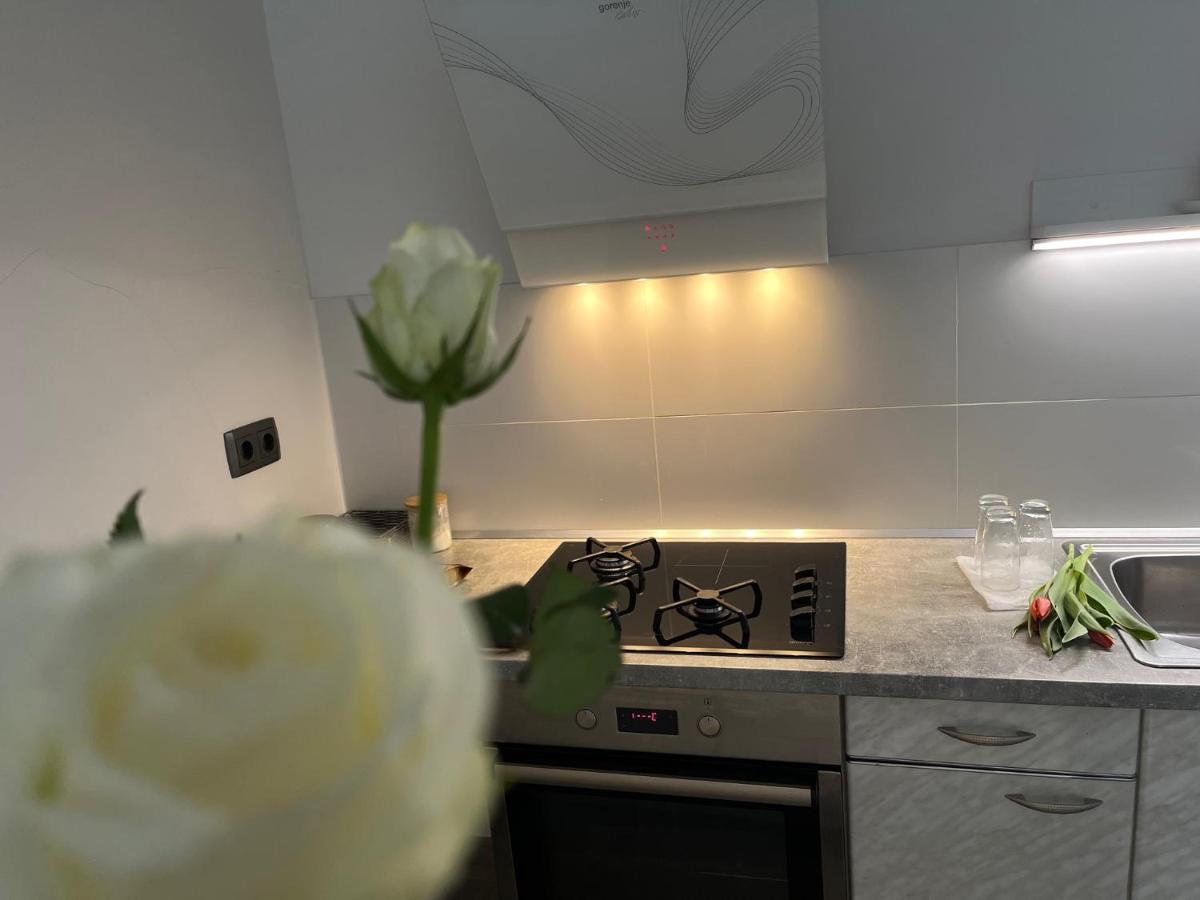 Apartma Ksela Mala Nedelja Extérieur photo