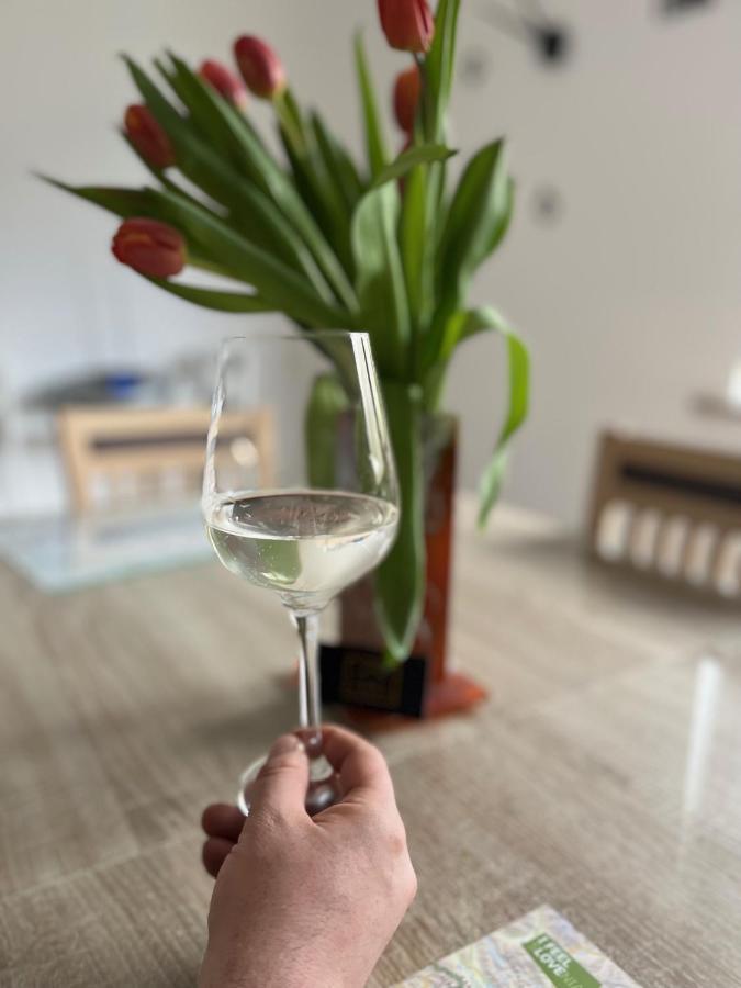 Apartma Ksela Mala Nedelja Extérieur photo